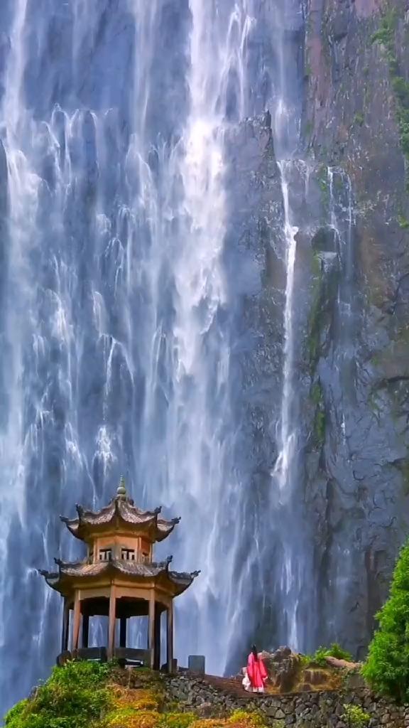寻找奈良树花