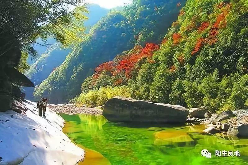 逛商场,忙大年